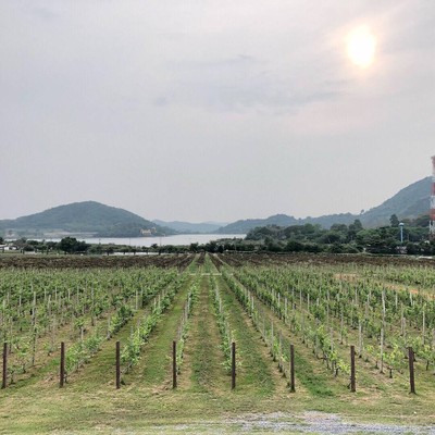 Silver Lake (ซิลเวอร์เลค])