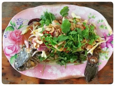 ปลาช่อนเกยตื้น