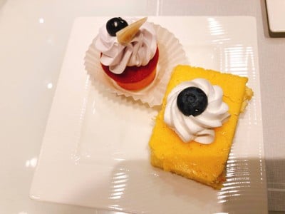 Al Mourjan Business Lounge, Doha Qatar