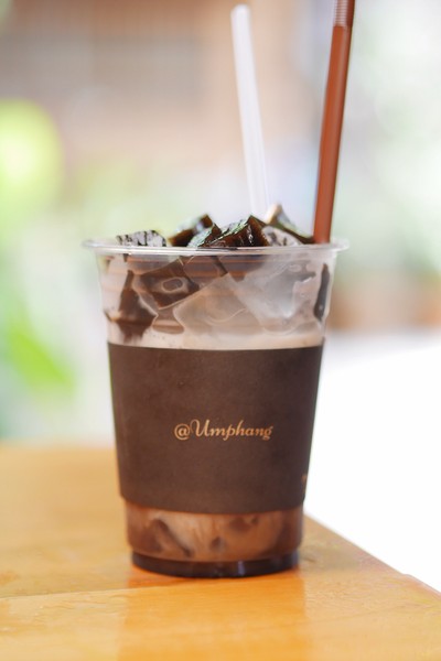 เฉาก๊วยนมสด