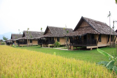 ภูปายอาร์ทรีสอร์ท