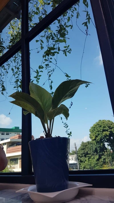 บรรยากาศ