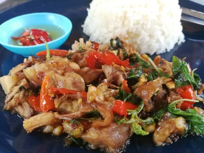 กระเพราขาหมูราดข้าว