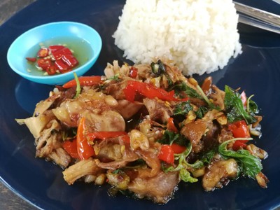 กระเพราขาหมูราดข้าว