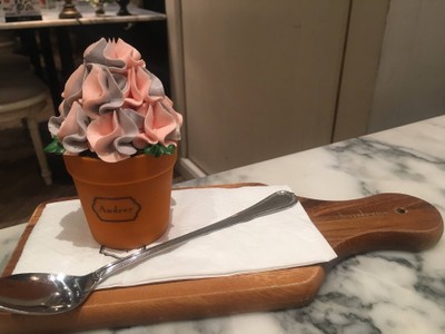 Flower Pot Cake เค้กกระถางดอกไม้