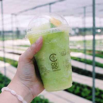 เมนูของร้าน CORO FIELD