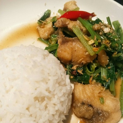 ข้าวปลากระพงผัดคึ่นฉ่าย