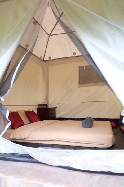 อาโปเดอมาง