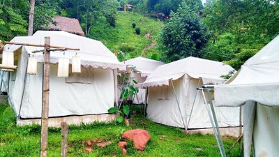 อาโปเดอมาง