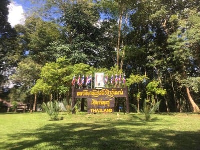 บรรยากาศ น้ำตกทีลอซู เขตรักษาพันธุ์สัตว์ป่าอุ้มผาง