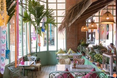 บรรยากาศ Ginger Farm One Nimman