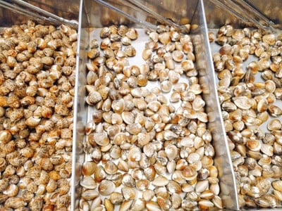 เมนูของร้าน สังกะสี