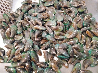 เมนูของร้าน สังกะสี