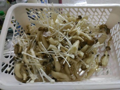 วิธีทำ เห็ดผัดน้ำมันหอย วิธีทำ เห็ดผัดน้ำมันหอย