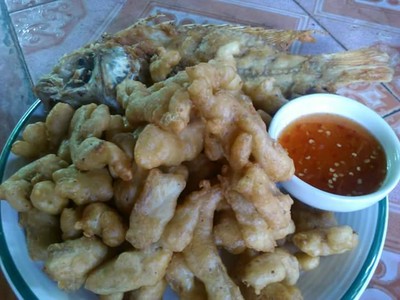 มัจฉาเปลืองผ้า มัจฉาเปลืองผ้า