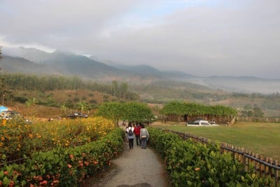 บรรยากาศ ทะเลหมอกหยุนไหล เมืองปาย