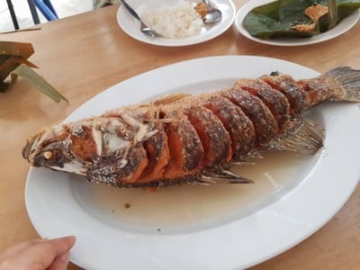 ปลากระพงทอดราดน้ำปลา