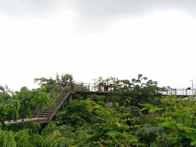 Inside