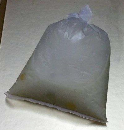 บัวลอย(ธรรมดา)