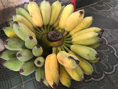 วิธีทำ กล้วยบวชชีโรยงาขาว