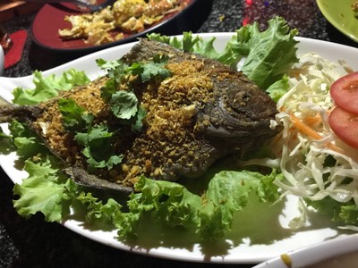 ร้านบ้านเพลง (Ranbanpleng) (ร้านบ้านเพลง) ร้านบ้านเพลง (Ranbanpleng) (ร้านบ้านเพลง)