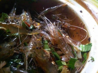 กุ้งเต้น