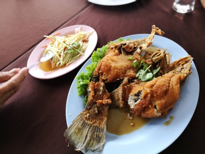 วาสนาฟิชชิ่งปาร์ค (Wassana Restaurant) ระยอง วาสนาฟิชชิ่งปาร์ค (Wassana Restaurant) ระยอง