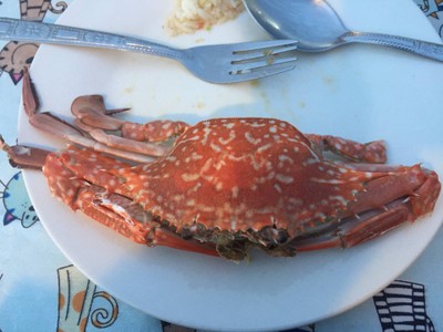 ปูม้านึ่ง