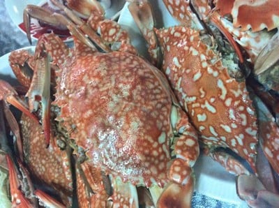 วิธีทำ ปูม้านึ่ง