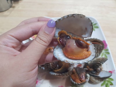 หอยแครง