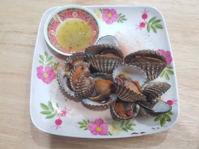 หอยแครง