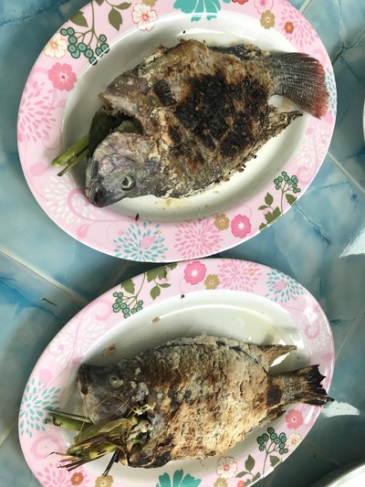 วิธีทำ ปลาเผา