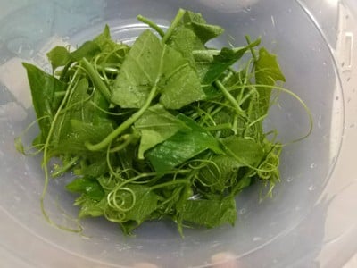 วิธีทำ ผัดยอดฟักแม้วหมูสับ วิธีทำ ผัดยอดฟักแม้วหมูสับ