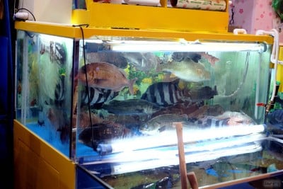 อาหารทะเลสดๆ