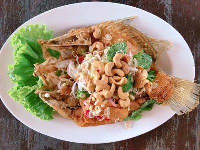 ปลากระพงสมุนไพร