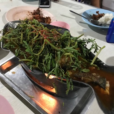 ปลาช่อนแป๊ะซะ