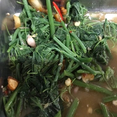 ผัดยอดฟักแม้วหมูสับ ผัดยอดฟักแม้วหมูสับ