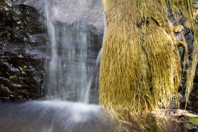 บรรยากาศ น้ำตกแม่เรวา