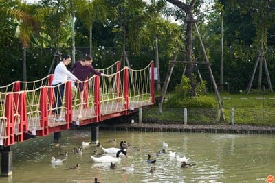 บรรยากาศ Say Hay Restaurant ร้านอาหารเซย์เฮย์