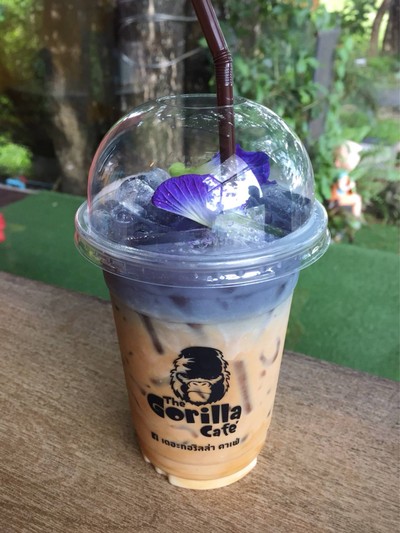 ลาเต้อัญชัน