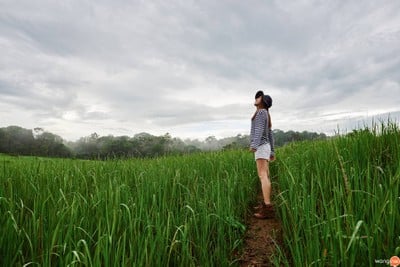บรรยากาศ อุทยานแห่งชาติเขาใหญ่