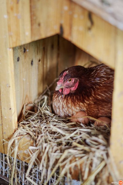 สิ่งอำนวยความสะดวก/กิจกรรม