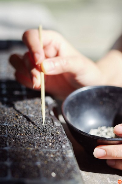 สิ่งอำนวยความสะดวก/กิจกรรม