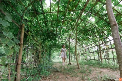 บริเวณโดยรอบ