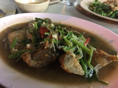 ปลาเก๋าผัดขึ้นฉ่าย