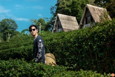 บรรยากาศ ไร่ชาลุงเดช