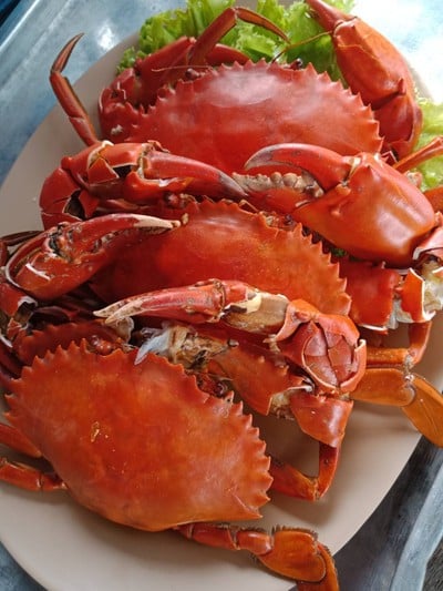 ร้านทะเลทองกุ้งเผา @แหลมโพธิ์ คูเต่า