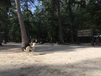 บรรยากาศ หาดแหลมศาลา