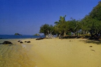 เกาะกุฎี