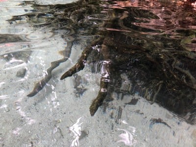 บรรยากาศ ป่าต้นน้ำบ้านน้ำราด